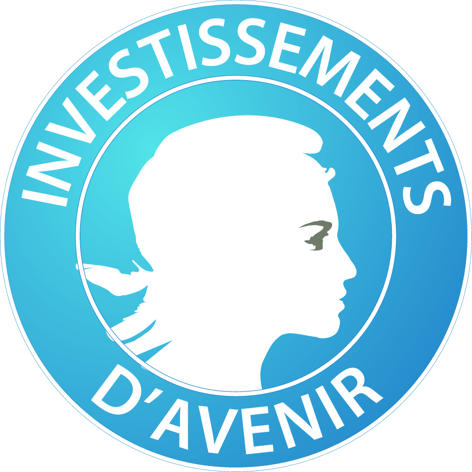 investissements-avenir
