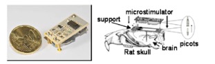 labo-micro-fig11