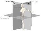 labo-micro-fig18