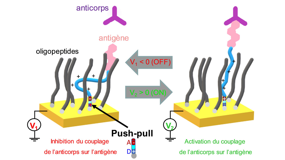 biomotion-fig-1